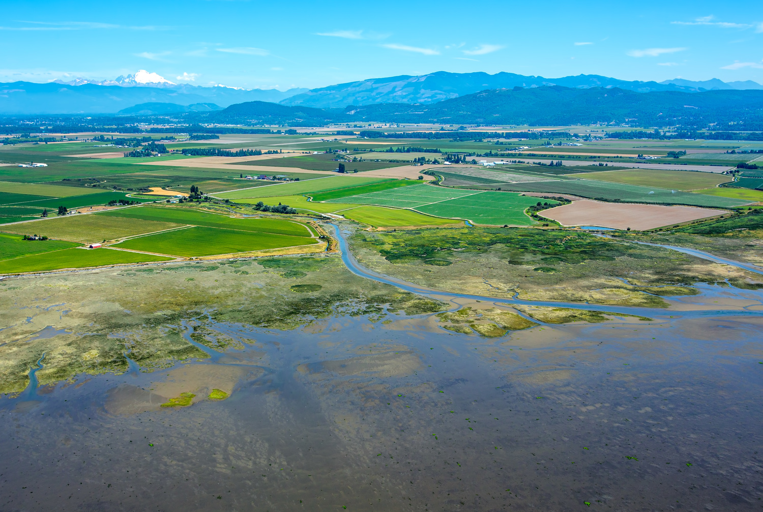 SkagitAerial_MarlinGreene_OneEarthImages Skagit County's Fir Island farms