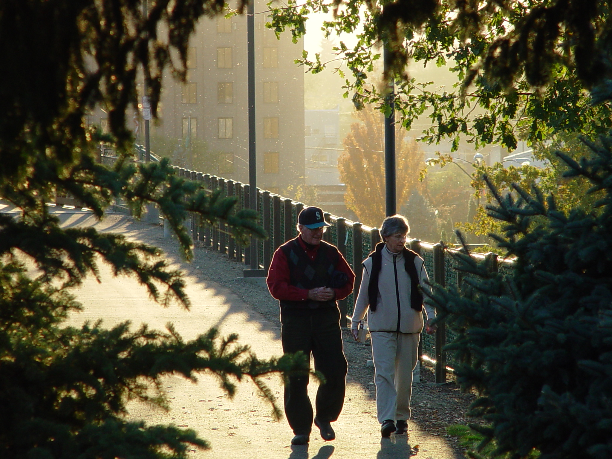 park_misty_walkers Two people walking in a park
