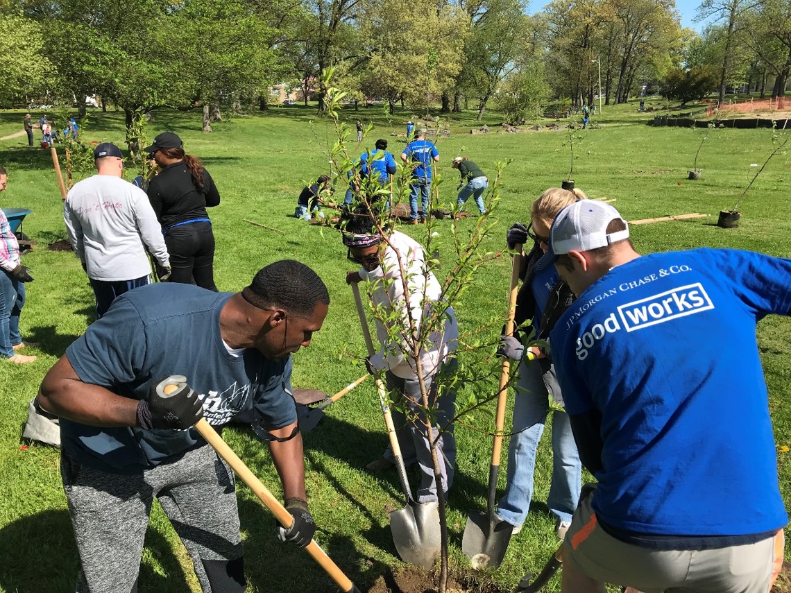 Our-urban-forest-program_Wilmington_BranchesChances