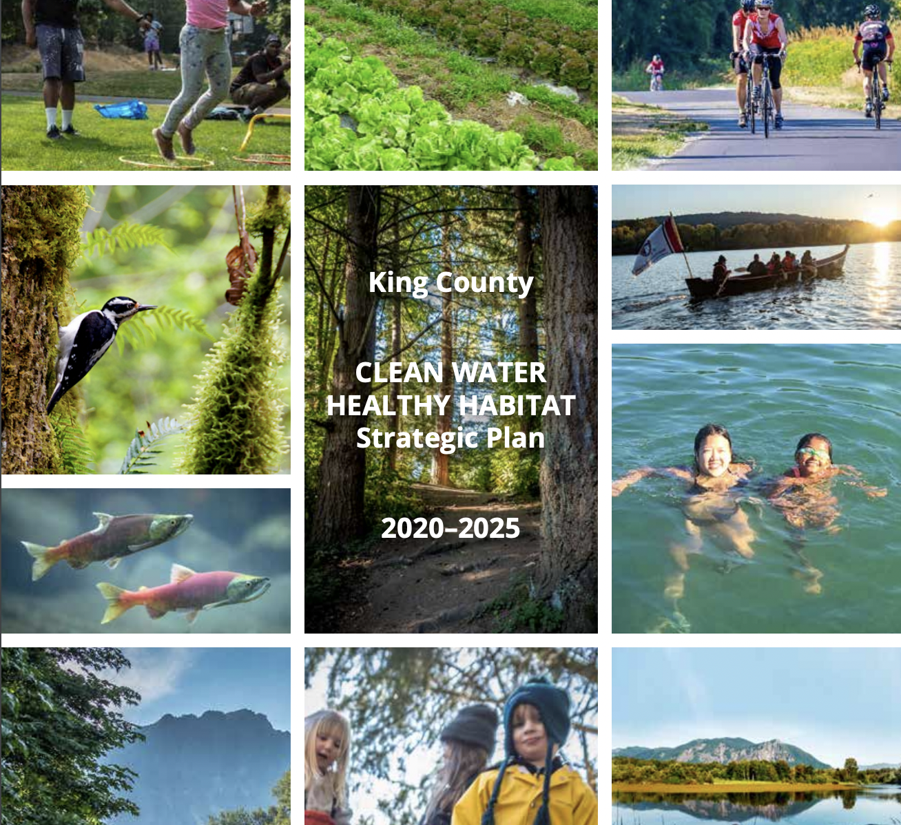 Screen Shot 2021-09-13 at 9.49.32 AM